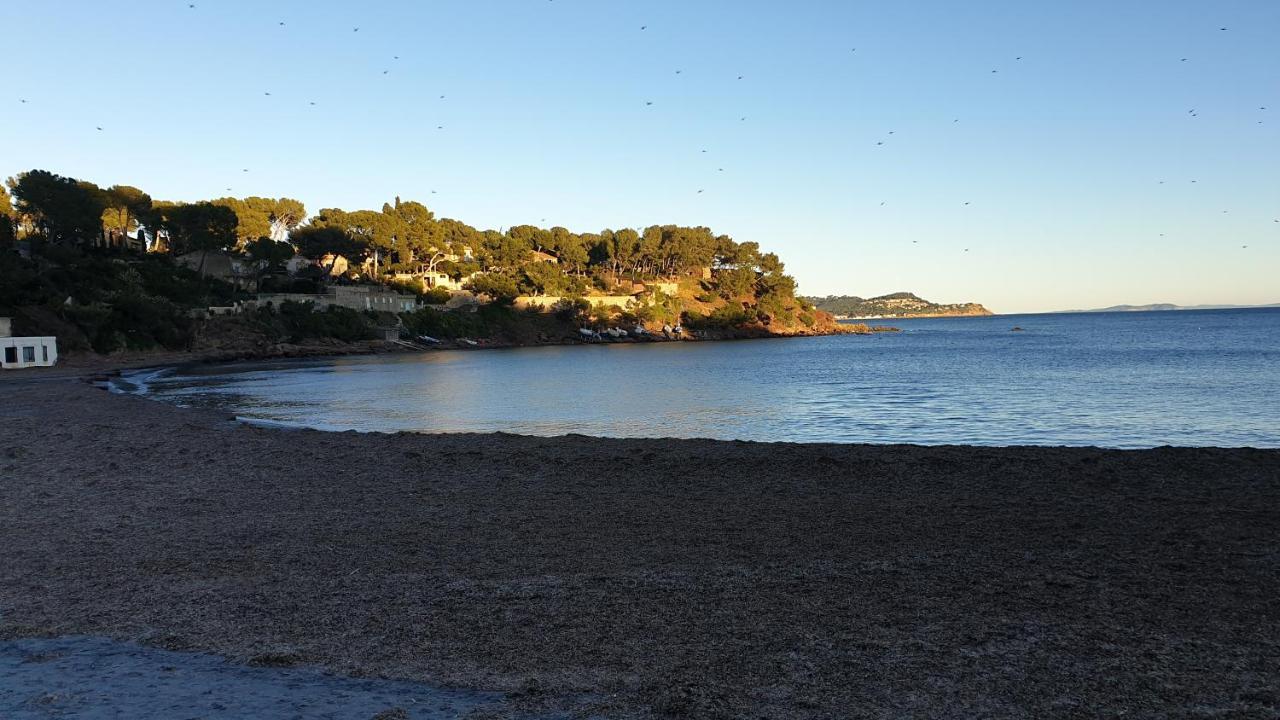Moderne De 54 M, 2 * La Seyne-sur-Mer